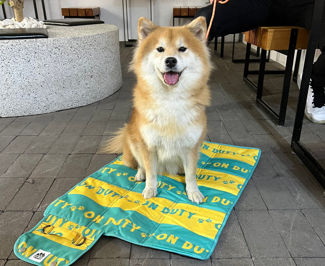 Settle Mats are a Psychological Game-Changer for Dogs